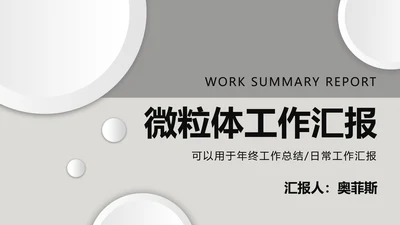 灰色微粒体工作汇报PPT模板