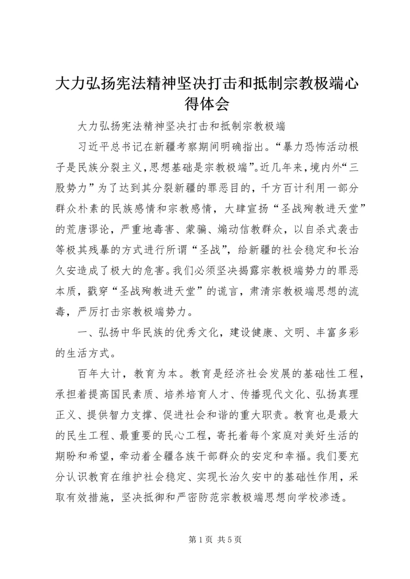 大力弘扬宪法精神坚决打击和抵制宗教极端心得体会.docx