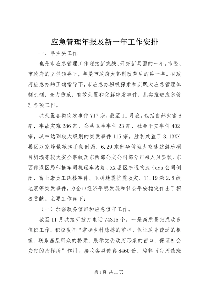 应急管理年报及新一年工作安排.docx