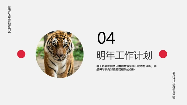 时尚虎年总结汇报通用PPT模板