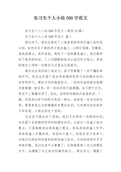 实习生个人小结500字范文.docx