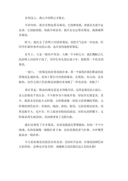 中小学菊花作文4篇(1)