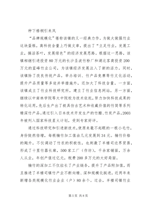 竹乡飞歌春来早——记羊楼司镇党委、政府 (3).docx
