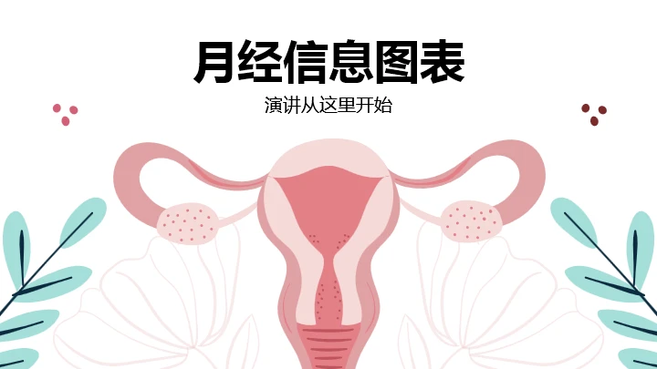 女性子宫月经生理结构通用PPT图表模板