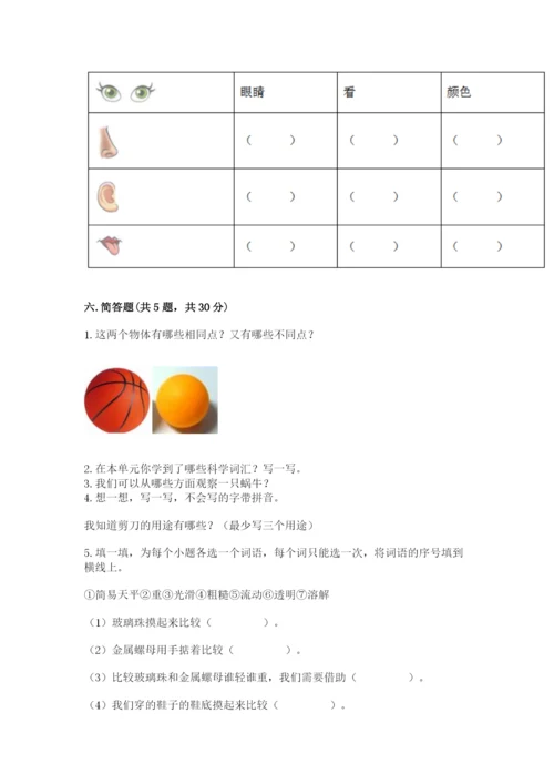 教科版小学科学一年级下册期末测试卷及答案【基础+提升】.docx