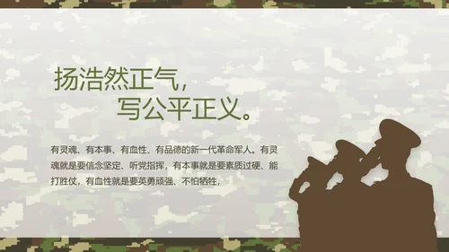 迷彩风军队军事工作总结汇报动态PPT