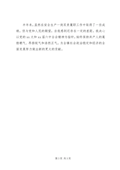 乡镇某年安全生产一岗双责述职报告.docx