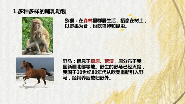 人教版 初中生物七年级上册2.2.2脊椎动物（鸟和哺乳动物）课件(共24张PPT)+ 视频素材