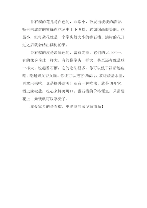 番石榴作文0.docx