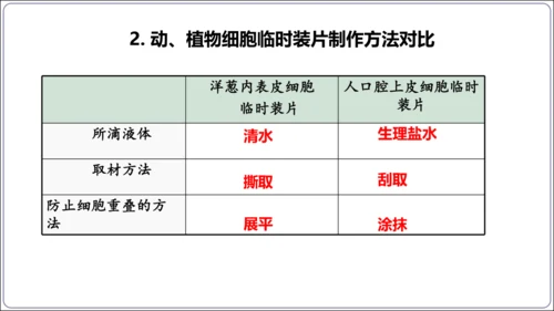 1.1&1.2 认识生物和细胞（复习课件）【2024人教新版七上生物高效完全备课】(共44张PPT)