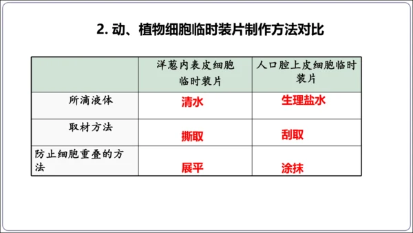 1.1&1.2 认识生物和细胞（复习课件）【2024人教新版七上生物高效完全备课】(共44张PPT)