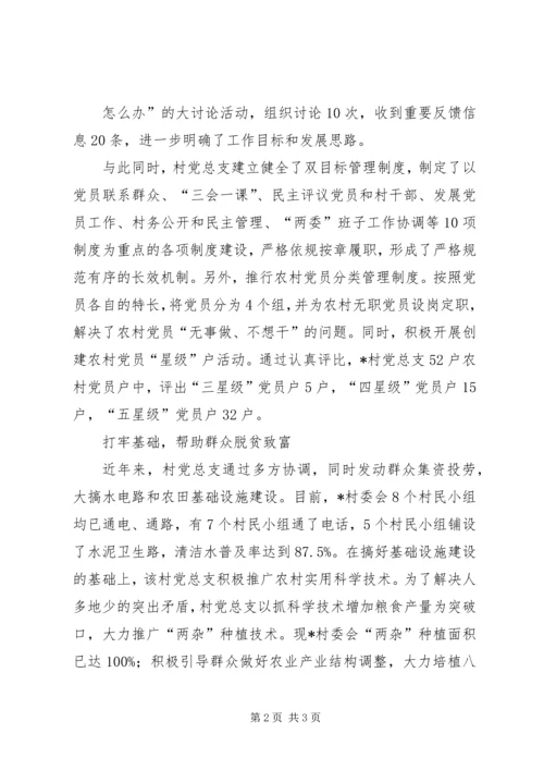 村党总支的事迹材料.docx