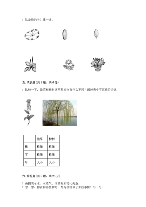 教科版科学一年级上册期末测试卷精品【预热题】.docx