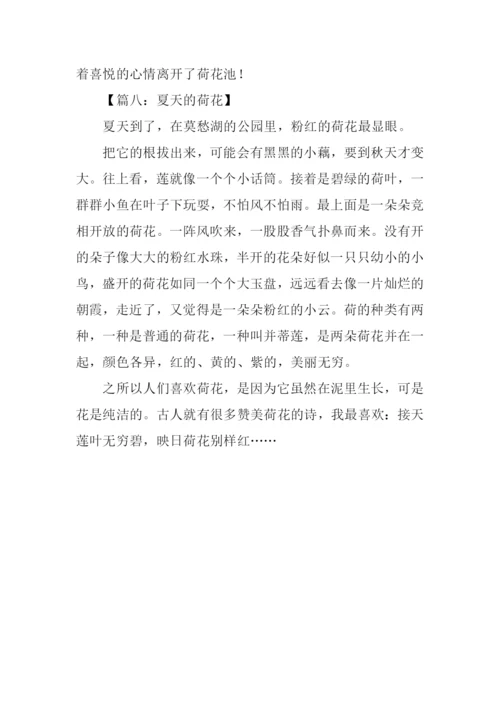 夏天的荷花作文200字.docx