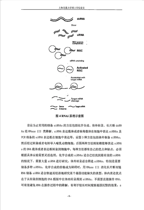 靶向血管内皮生长因子治疗视网膜母细胞瘤研究眼科学专业毕业论文