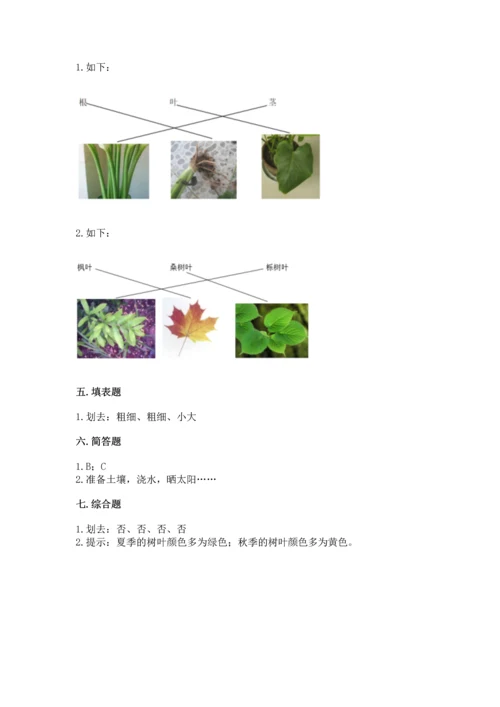 教科版科学一年级上册第一单元《植物》测试卷（考试直接用）word版.docx