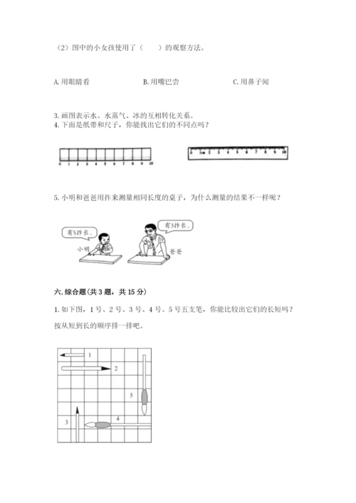 教科版一年级上册科学期末测试卷（考点精练）.docx