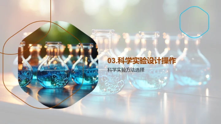 科学实验探究