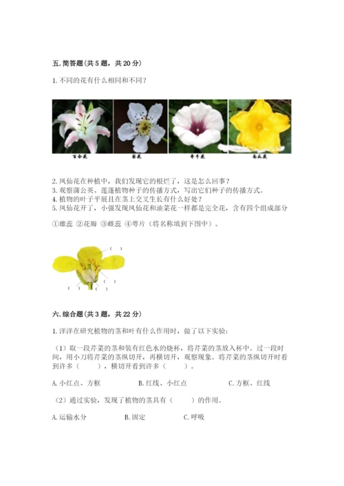 科学四年级下册第一单元《植物的生长变化》测试卷【必考】.docx