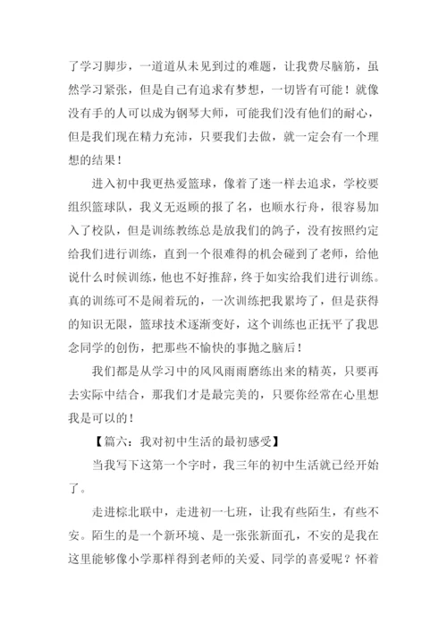 初中生活的感受作文.docx