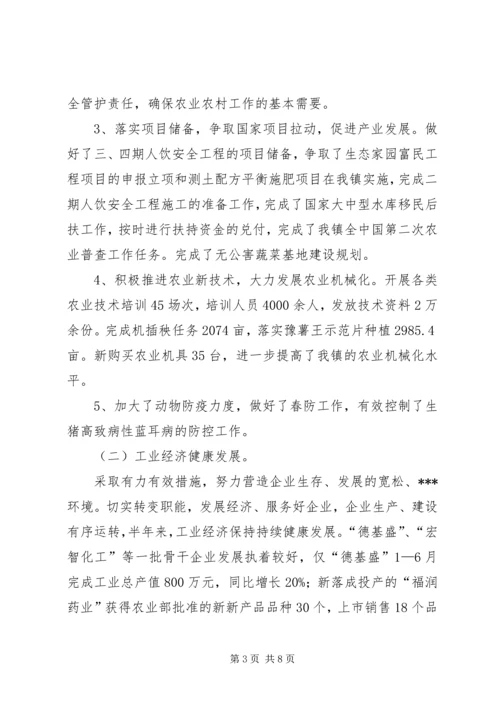 乡镇统计工作计划.docx