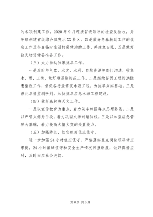 应急管理局XX年上半年工作总结和下步工作计划.docx