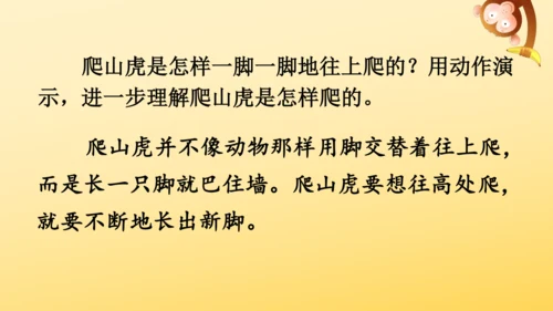 10 爬山虎的脚   课件