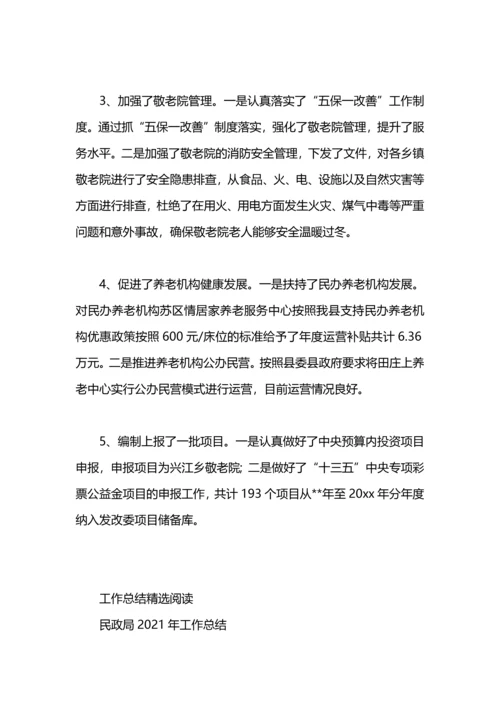 民政局社会福利2020年工作总结.docx