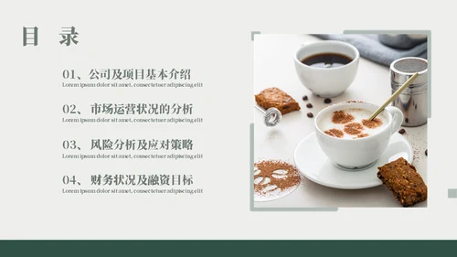 咖啡店可可豆项目计划书模板
