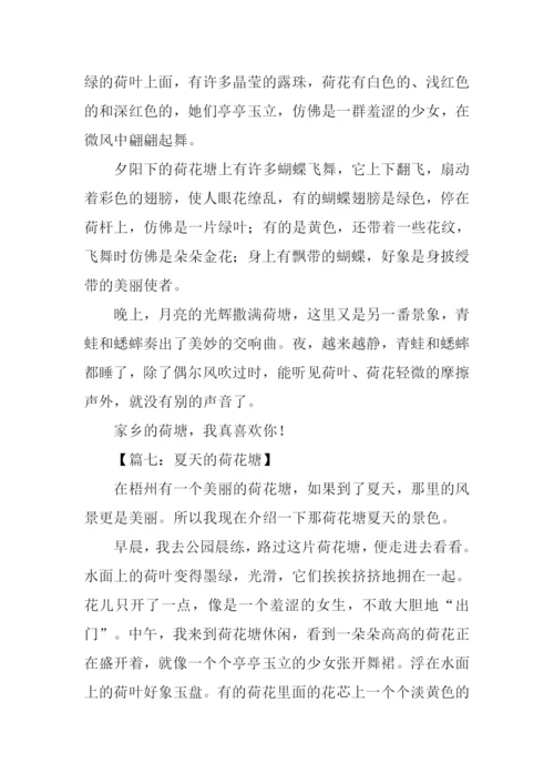 夏天的荷花塘作文400字.docx
