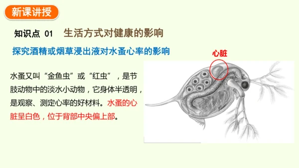 8.3.2选择健康的生活方式-八年级生物人教版下学期同步精品课件(共35张PPT)
