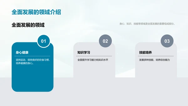 全面发展策略PPT模板