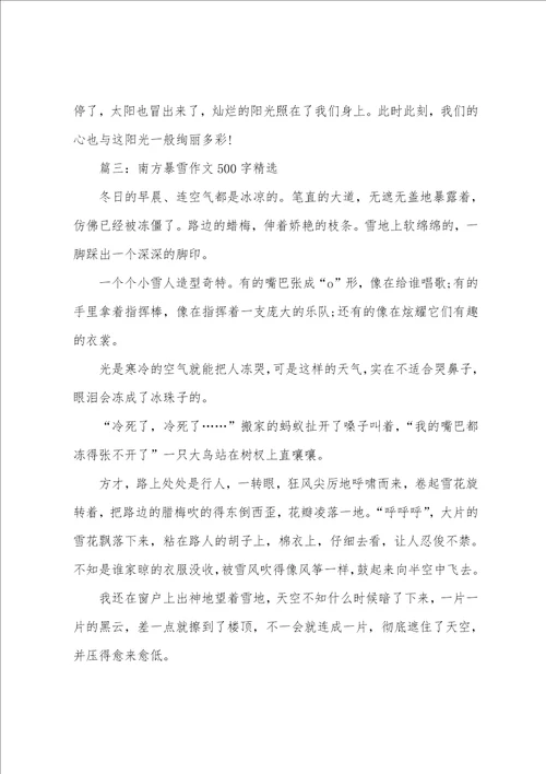 南方暴雪作文500字精选5篇