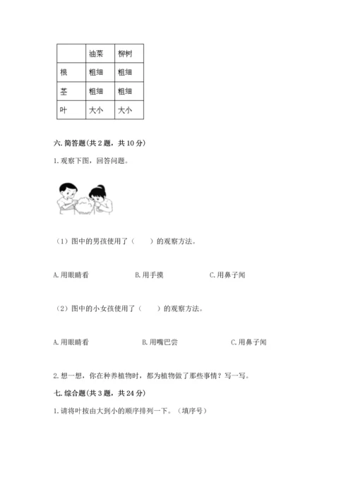 教科版科学一年级上册第一单元《植物》测试卷附参考答案（能力提升）.docx