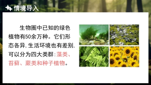3.1.1 藻类、苔藓和蕨类植物 课件 人教版生物七年级上册(共27张PPT)