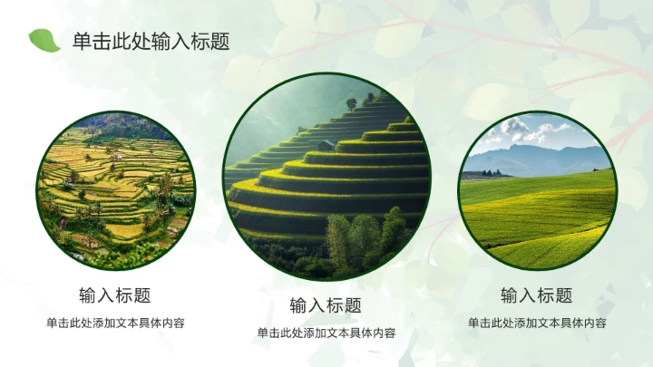 夏日植物插画简约乡村旅游ppt模板