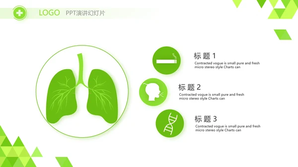 绿色智慧医疗信息化建设工作总结PPT