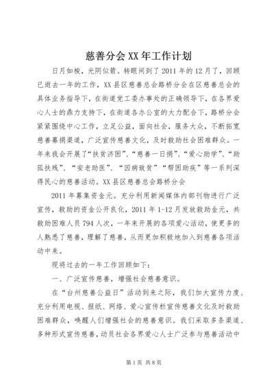 慈善分会XX年工作计划.docx