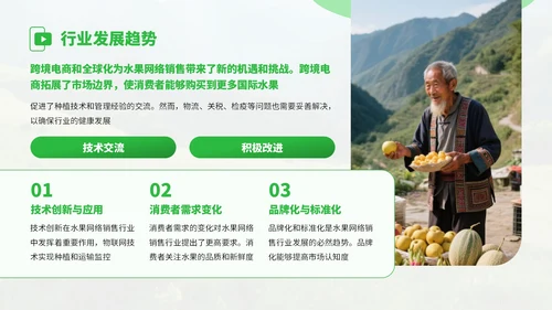绿色扁平风水果销售行业发展分析PPT