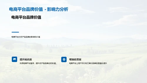 电商助力农品品牌