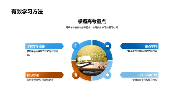 高考全面筹划