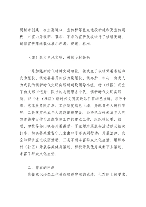 乡镇意识形态工作责任制落实情况.docx