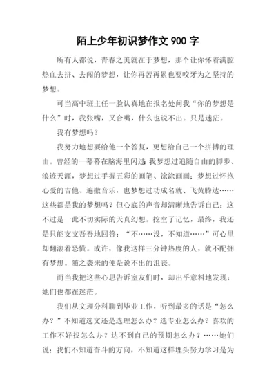 陌上少年初识梦作文900字.docx