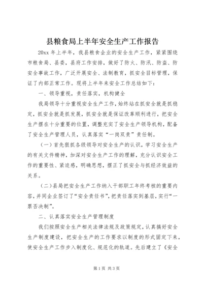 县粮食局上半年安全生产工作报告.docx