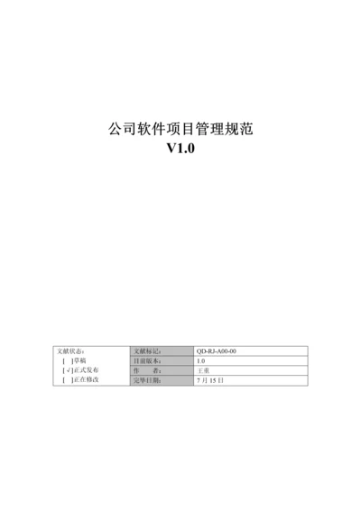 公司软件专项项目管理基础规范.docx