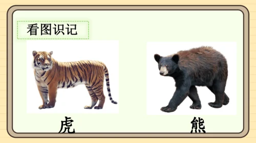 16 动物王国开大会（课件）