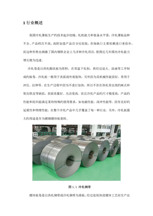 公司冷轧项目调研报告.docx