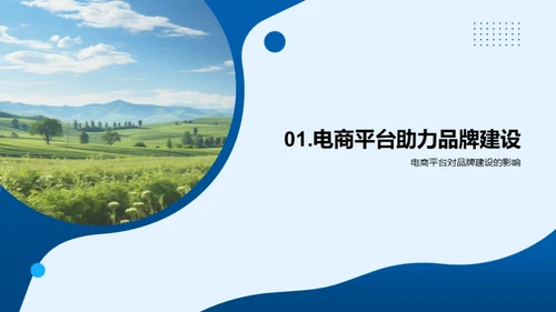 电商助力农品品牌