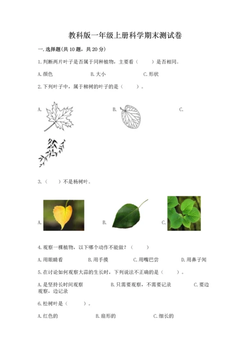 教科版一年级上册科学期末测试卷（黄金题型）.docx