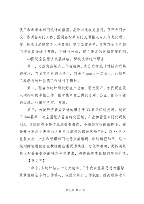 乡镇统计个人工作总结.docx